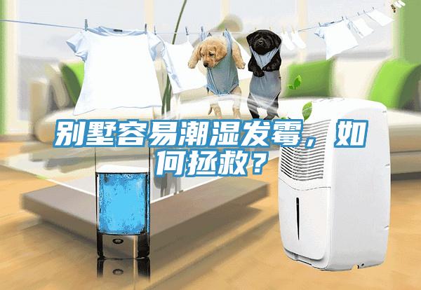别墅容易潮湿发霉，如何拯救？