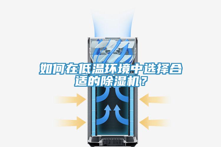 如何在低温环境中选择合适的除湿机？