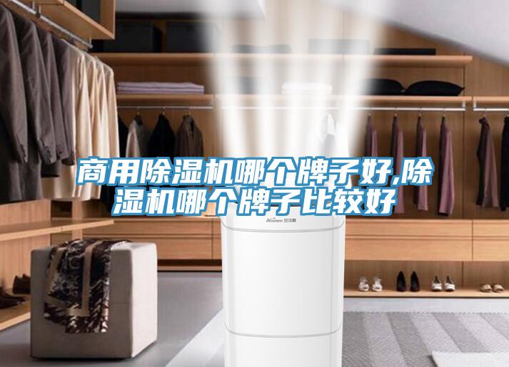 商用除湿机哪个牌子好,除湿机哪个牌子比较好