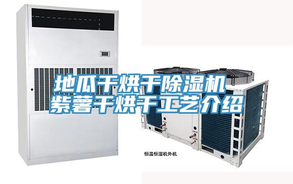 地瓜干烘干除湿机 紫薯干烘干工艺介绍