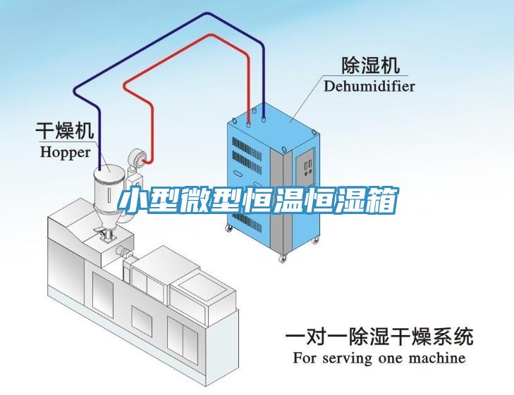 小型微型恒温恒湿箱