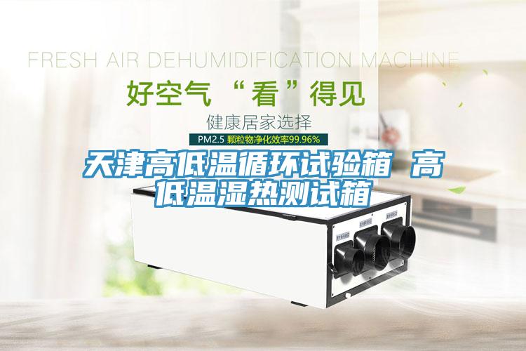 天津高低温循环试验箱 高低温湿热测试箱