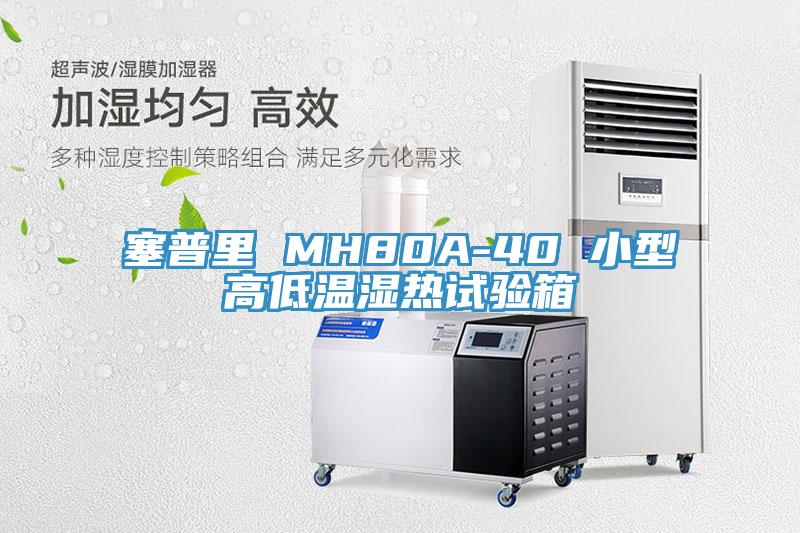 塞普里 MH80A-40 小型高低温湿热试验箱
