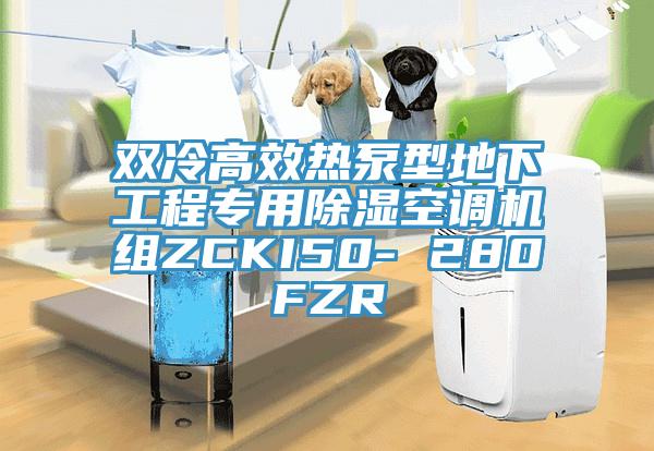 双冷高效热泵型地下工程专用除湿空调机组ZCKI50- 280FZR