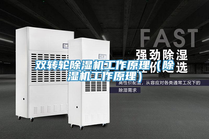 双转轮除湿机工作原理（除湿机工作原理）