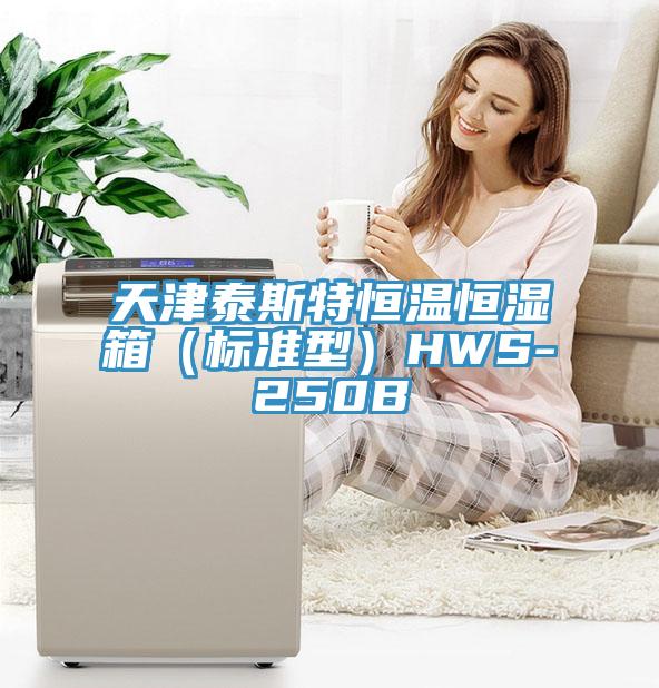 天津泰斯特恒温恒湿箱（标准型）HWS-250B