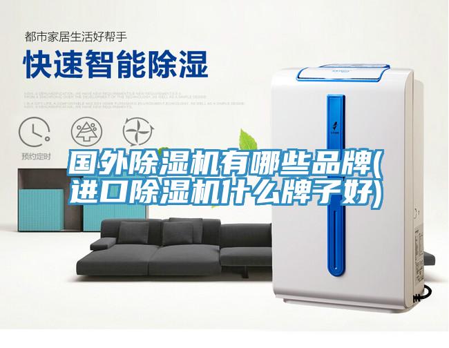 国外除湿机有哪些品牌(进口除湿机什么牌子好)