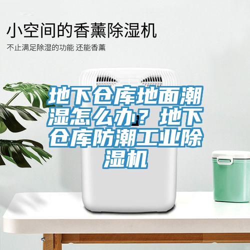 地下仓库地面潮湿怎么办？地下仓库防潮工业除湿机