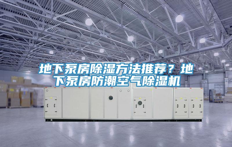 地下泵房除湿方法推荐？地下泵房防潮空气除湿机