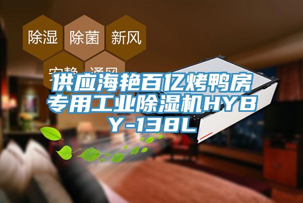 供应海艳百亿烤鸭房专用工业除湿机HYBY-138L