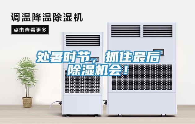 处暑时节，抓住最后除湿机会！