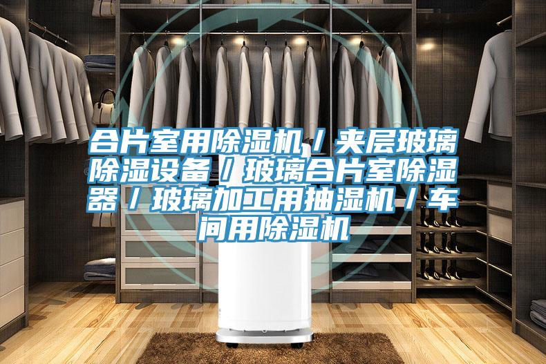 合片室用除湿机／夹层玻璃除湿设备／玻璃合片室除湿器／玻璃加工用抽湿机／车间用除湿机