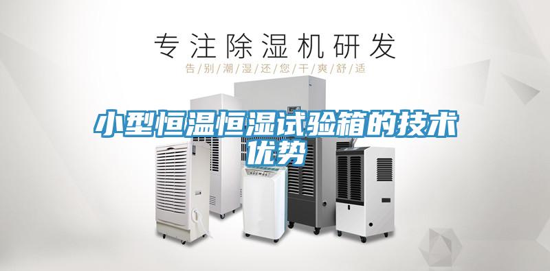 小型恒温恒湿试验箱的技术优势