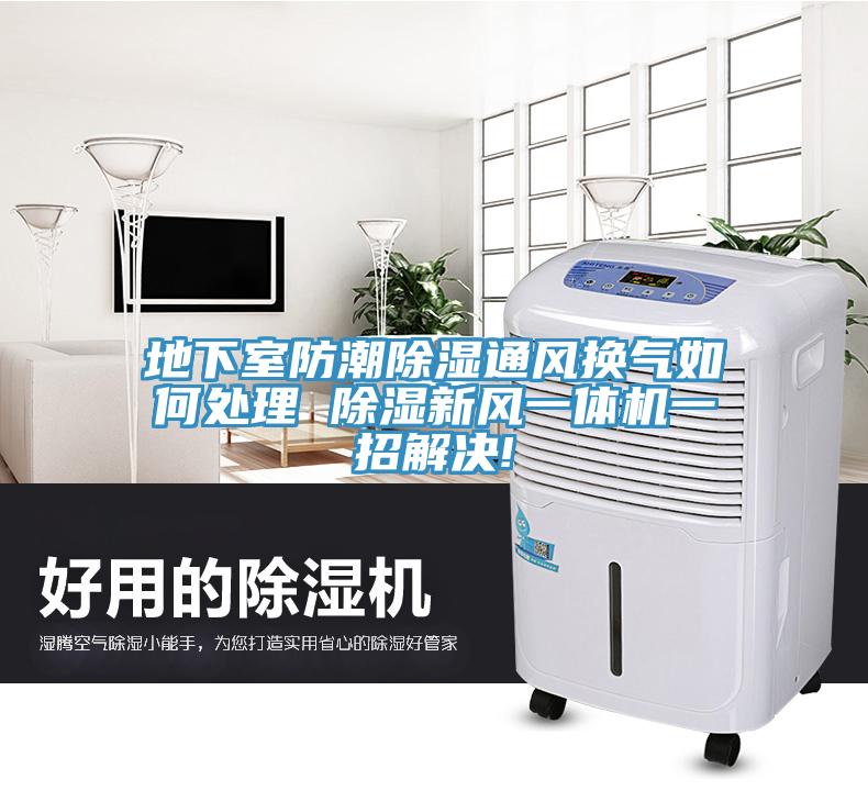 地下室防潮除湿通风换气如何处理 除湿新风一体机一招解决!