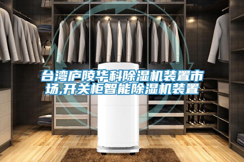 台湾庐陵华科除湿机装置市场,开关柜智能除湿机装置