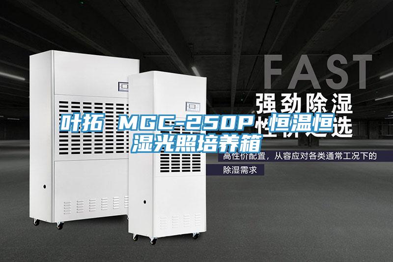 叶拓 MGC-250P 恒温恒湿光照培养箱