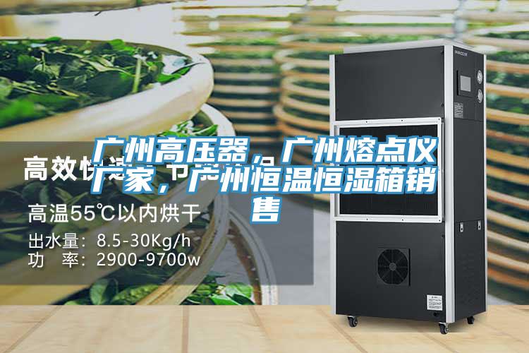 广州高压器，广州熔点仪厂家，广州恒温恒湿箱销售