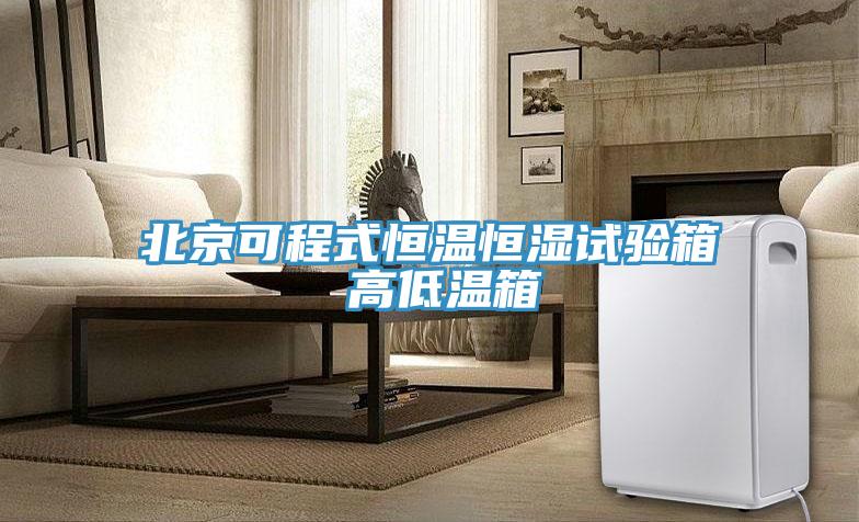 北京可程式恒温恒湿试验箱 高低温箱