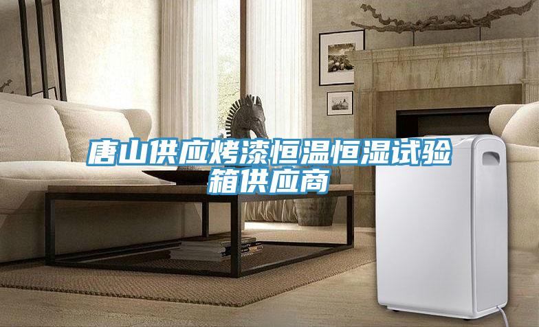 唐山供应烤漆恒温恒湿试验箱供应商