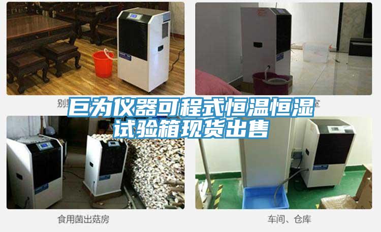 巨为仪器可程式恒温恒湿试验箱现货出售