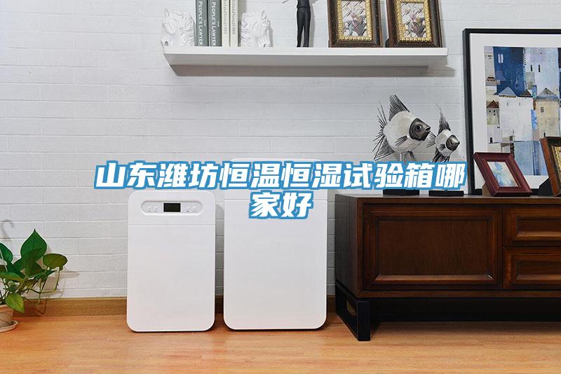 山东潍坊恒温恒湿试验箱哪家好