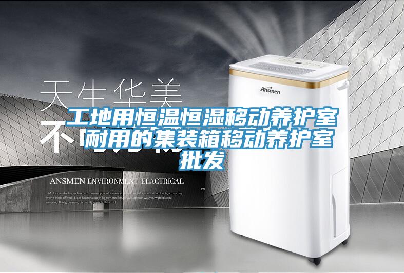 工地用恒温恒湿移动养护室 耐用的集装箱移动养护室批发