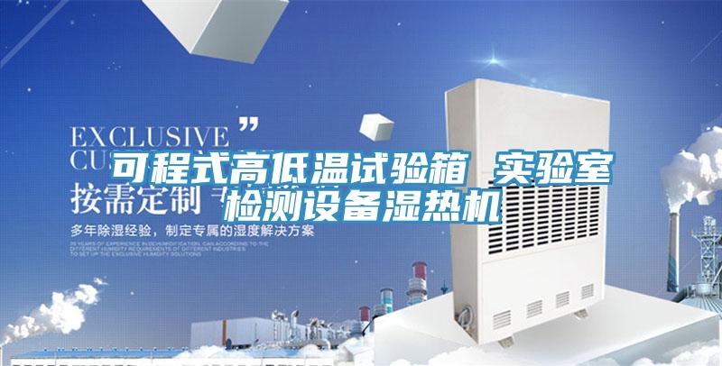 可程式高低温试验箱 实验室检测设备湿热机