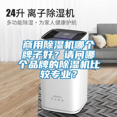 商用除湿机哪个牌子好？请问哪个品牌的除湿机比较专业？