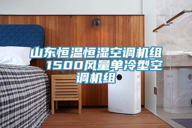 山东恒温恒湿空调机组  1500风量单冷型空调机组