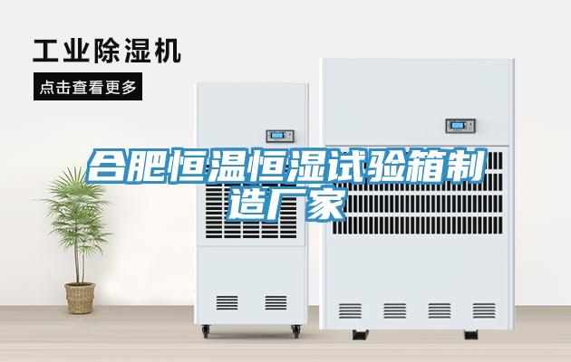 合肥恒温恒湿试验箱制造厂家