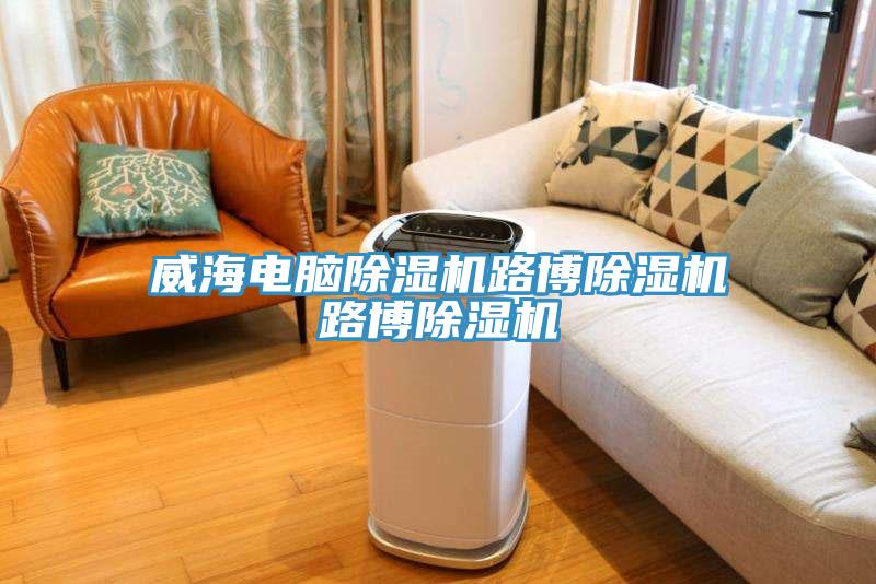威海电脑除湿机路博除湿机路博除湿机