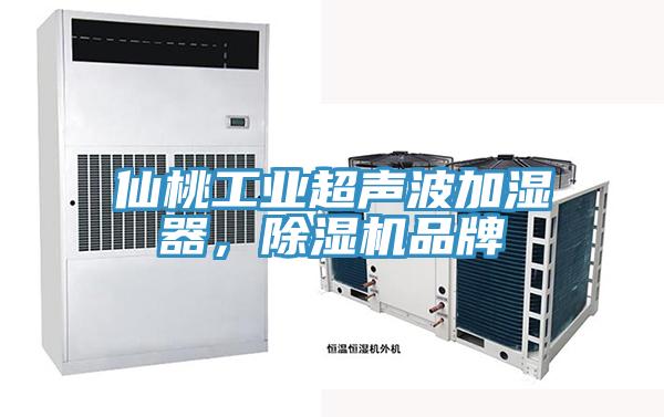 仙桃工业超声波加湿器，除湿机品牌
