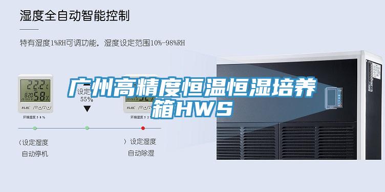 广州高精度恒温恒湿培养箱HWS
