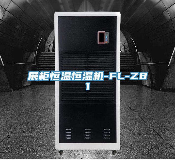 展柜恒温恒湿机-FL-Z81