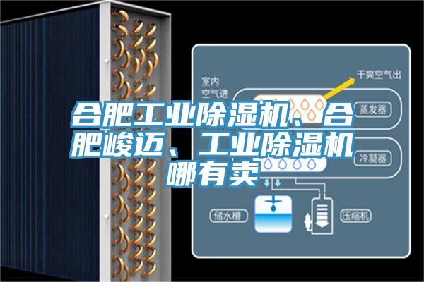 合肥工业除湿机、合肥峻迈、工业除湿机哪有卖