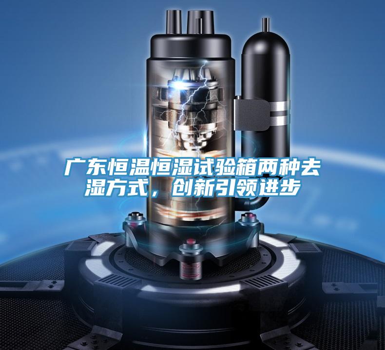 广东恒温恒湿试验箱两种去湿方式，创新引领进步