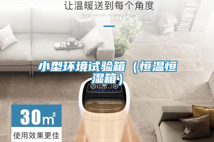 小型环境试验箱（恒温恒湿箱）