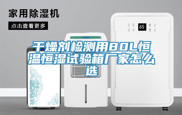 干燥剂检测用80L恒温恒湿试验箱厂家怎么选