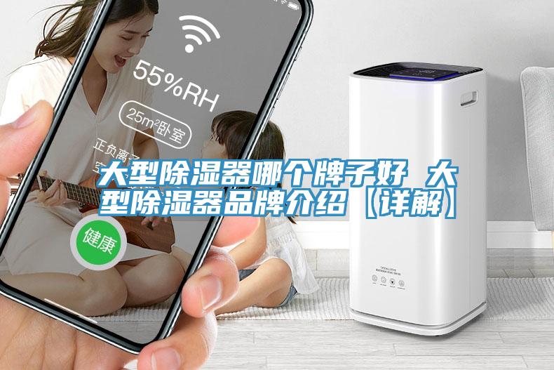 大型除湿器哪个牌子好 大型除湿器品牌介绍【详解】