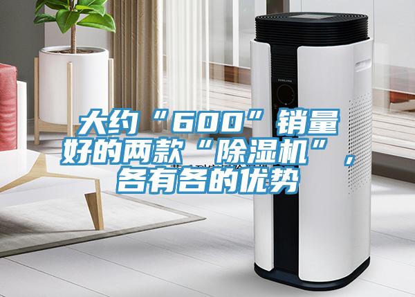 大约“600”销量好的两款“除湿机”，各有各的优势