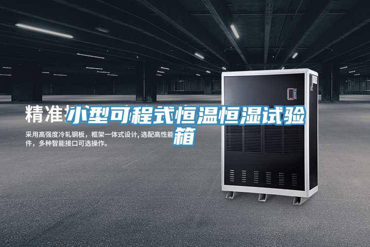 小型可程式恒温恒湿试验箱