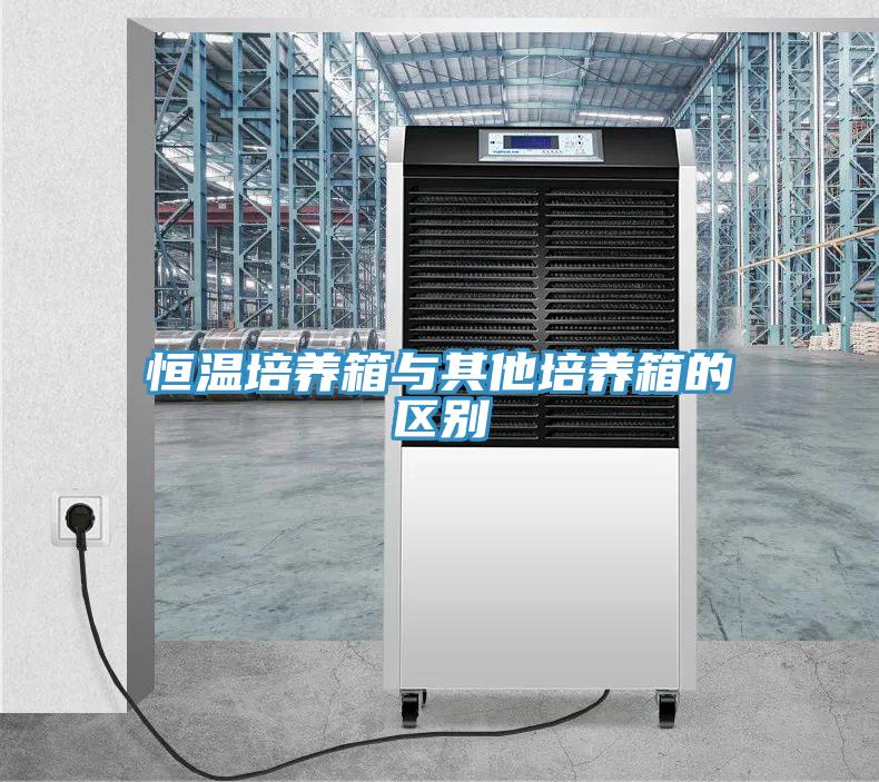 恒温培养箱与其他培养箱的区别