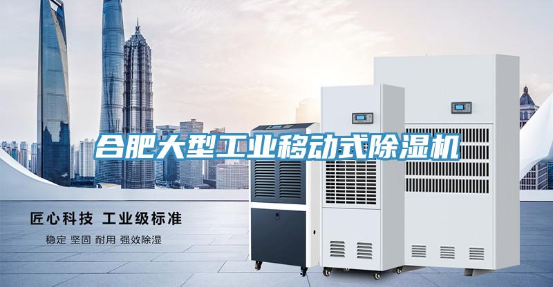 合肥大型工业移动式除湿机