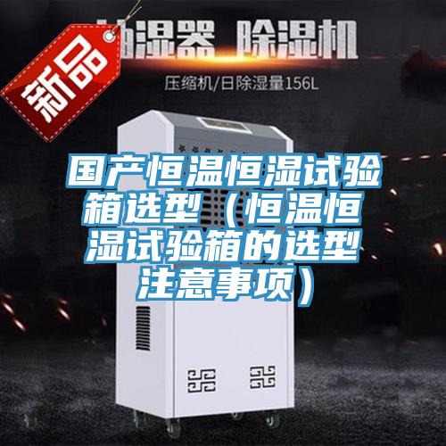 国产恒温恒湿试验箱选型（恒温恒湿试验箱的选型注意事项）