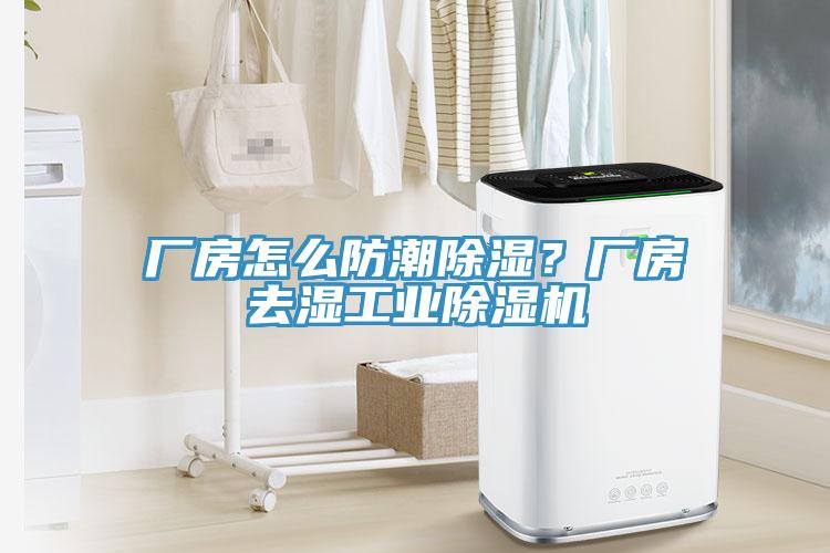 厂房怎么防潮除湿？厂房去湿工业除湿机