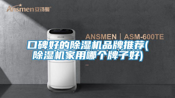 口碑好的除湿机品牌推荐(除湿机家用哪个牌子好)