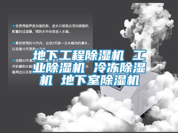 地下工程除湿机 工业除湿机 冷冻除湿机 地下室除湿机