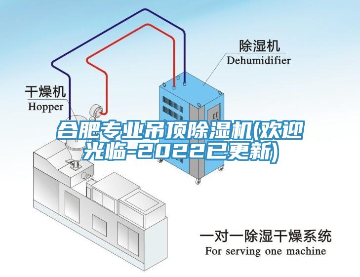合肥专业吊顶除湿机(欢迎光临-2022已更新)