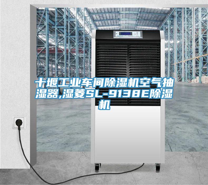 十堰工业车间除湿机空气抽湿器,湿菱SL-9138E除湿机