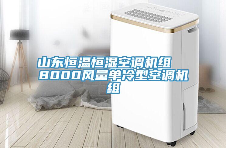 山东恒温恒湿空调机组  8000风量单冷型空调机组
